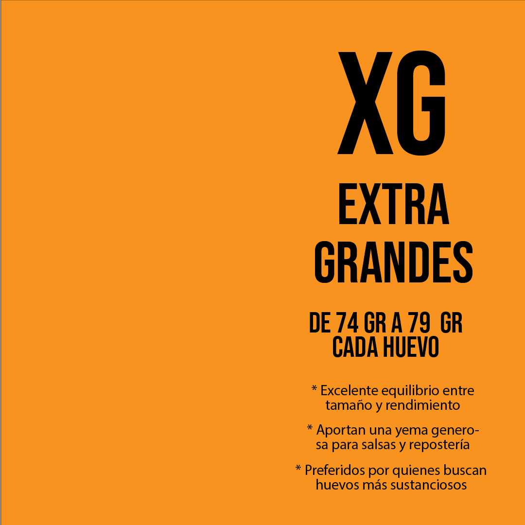 XG info