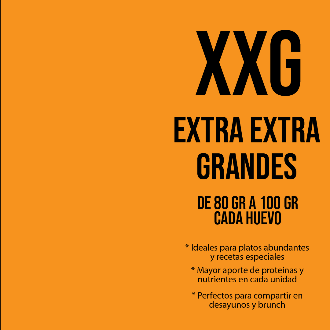 XXG info